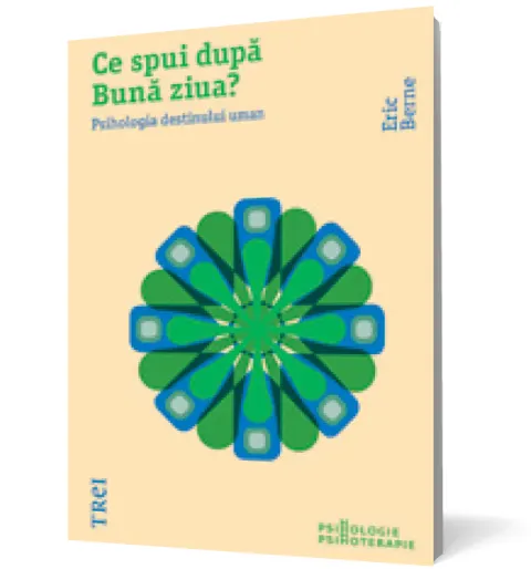 Coperta cărții Ce spui dupa buna ziua?