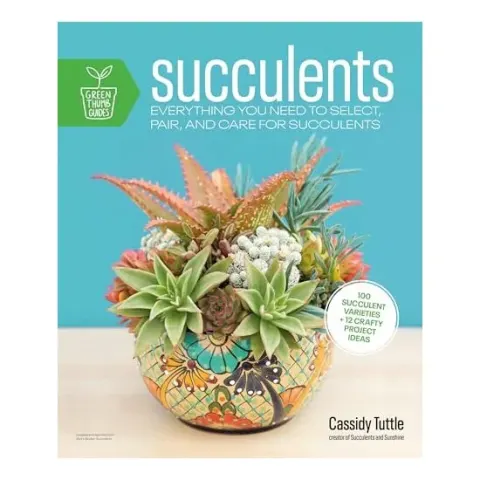 Coperta cărții Succulents, Cassidy Tuttle