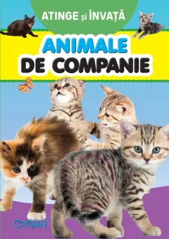 Coperta cărții Animale de companie