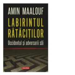 Coperta cărții Labirintul ratacitilor. Occidentul si adversarii sai