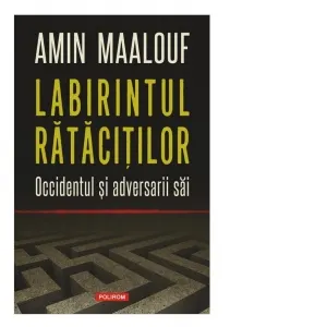 Coperta cărții Labirintul ratacitilor. Occidentul si adversarii sai