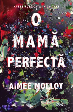 Coperta cărții O mamă perfectă