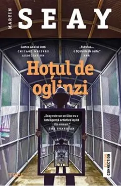 Coperta cărții Hoțul de oglinzi