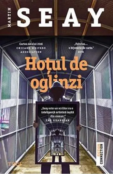 Coperta cărții Hoțul de oglinzi