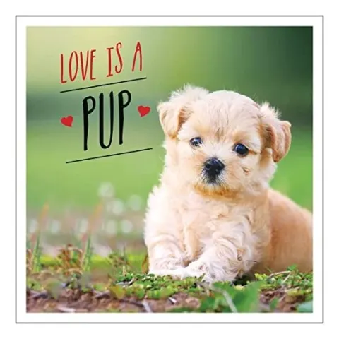 Coperta cărții Love Is a Pup, Charlie Ellis