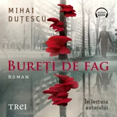 Coperta cărții Bureți de fag (audiobook)