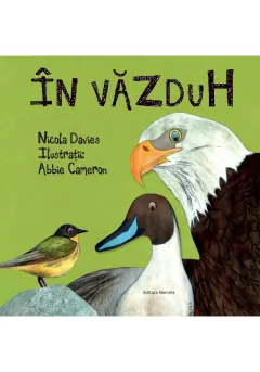 Coperta cărții În văzduh
