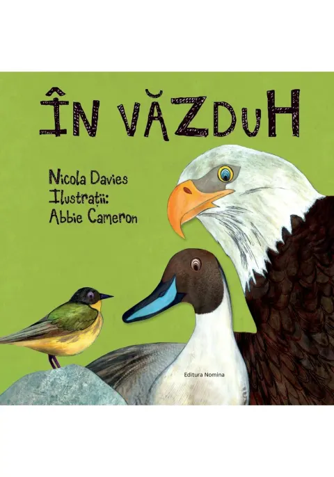 Coperta cărții În văzduh