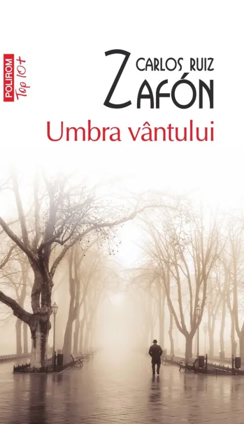 Coperta cărții Umbra vântului
