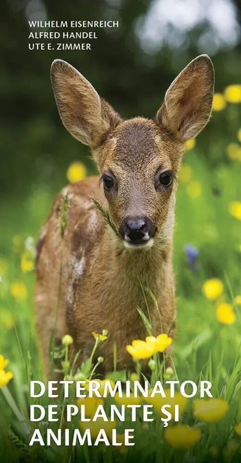 Coperta cărții Determinator de plante și animale
