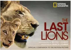 Coperta cărții The last lions, Beverly Joubert