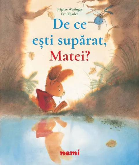 Coperta cărții De ce ești supărat, Matei?