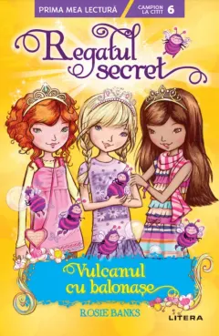Coperta cărții Regatul secret. Vulcanul cu balonase (Nivelul 6)