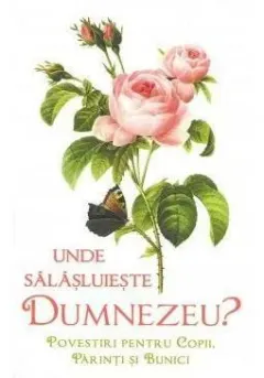 Coperta cărții Unde salasluieste Dumnezeu - Povestiri pentru copii parinti si bunici