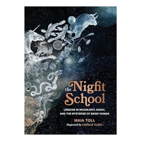 Coperta cărții Night School, Maia Toll, Lucille Clerc