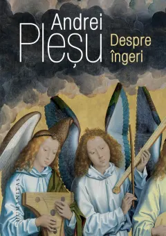 Coperta cărții Despre îngeri