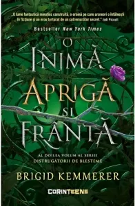 Coperta cărții O inima apriga si franta. Volumul 2 din seria Distrugatorii de blesteme