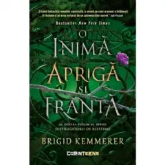 Coperta cărții O inima apriga si franta. Volumul 2 din seria Distrugatorii de blesteme