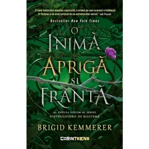 Coperta cărții O inima apriga si franta. Volumul 2 din seria Distrugatorii de blesteme