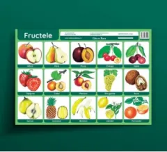 Coperta cărții Fructele - plansa didactica A3