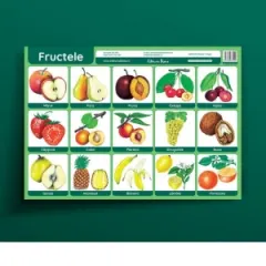 Coperta cărții Fructele - plansa didactica A3