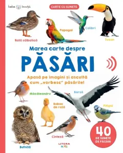 Coperta cărții Bebe invata. Marea carte despre pasari. 40 de sunete de pasari