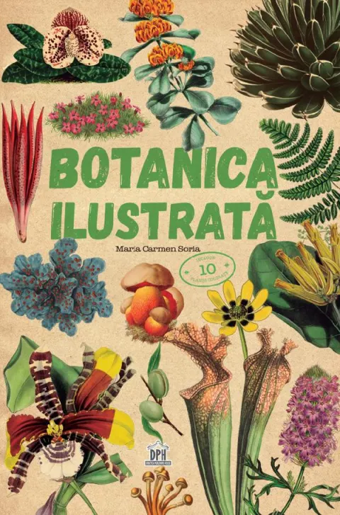 Coperta cărții Botanica ilustrată