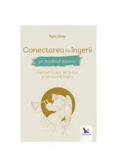 Coperta cărții Conectarea cu îngerii pe înțelesul tuturor