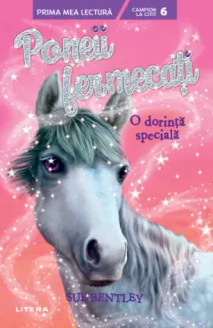 Coperta cărții Poneii fermecati. O dorinta speciala (Nivelul 6)