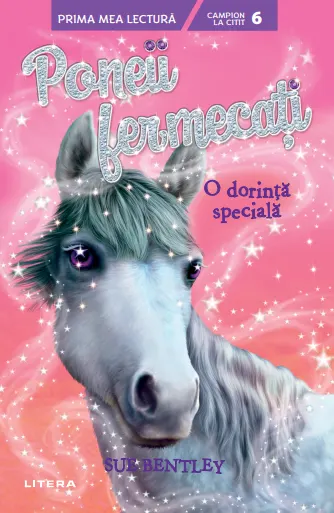 Coperta cărții Poneii fermecati. O dorinta speciala (Nivelul 6)