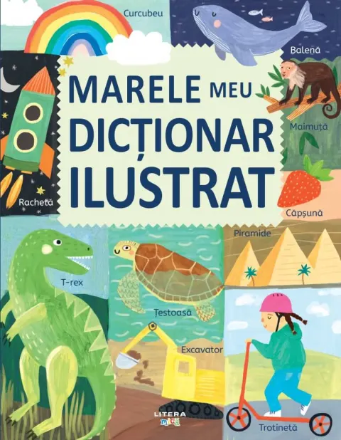 Coperta cărții Marele meu dicționar ilustrat