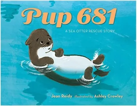 Coperta cărții Pup 681