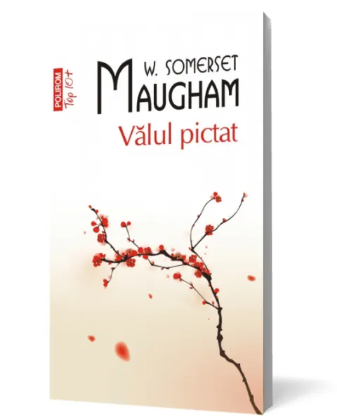 Coperta cărții Valul pictat