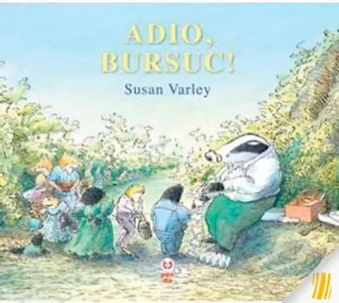 Coperta cărții Adio, Bursuc