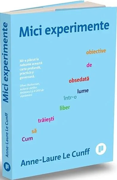 Coperta cărții Mici experimente