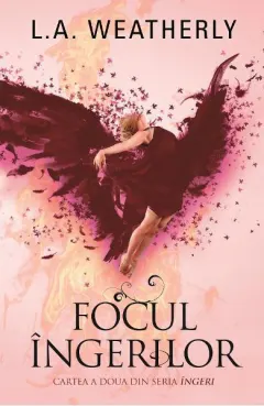 Coperta cărții Focul îngerilor