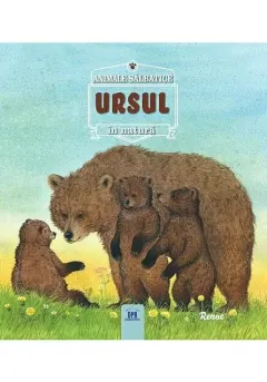 Coperta cărții URSUL- Animale salbatice în natura