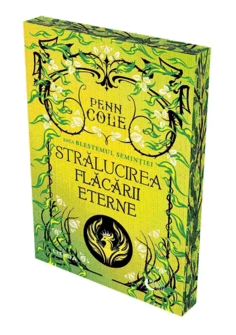 Coperta cărții Stralucirea Flacarii Eterne