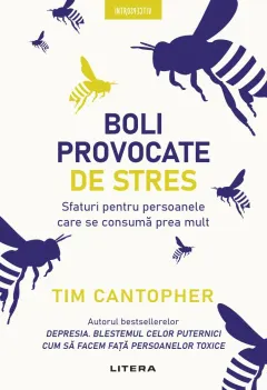 Coperta cărții Boli provocate de stres. Sfaturi pentru persoanele care se consumă prea mult