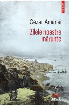 Coperta cărții Zilele noastre mărunte