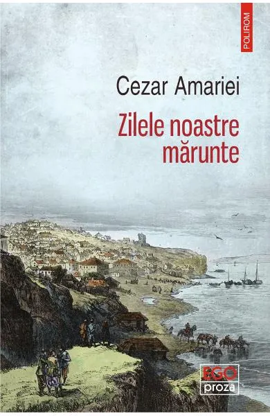 Coperta cărții Zilele noastre mărunte