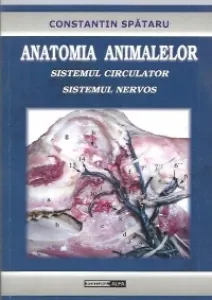 Coperta cărții Anatomia animalelor. Sistemul circulator. Sistemul nervos