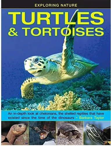 Coperta cărții Turtles and Tortoises