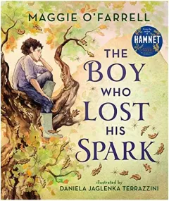 Coperta cărții Boy Who Lost His Spark