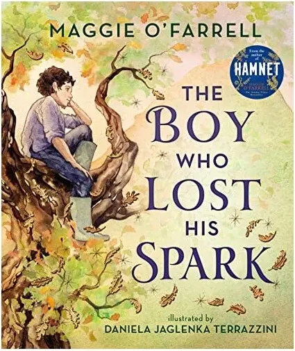 Coperta cărții Boy Who Lost His Spark