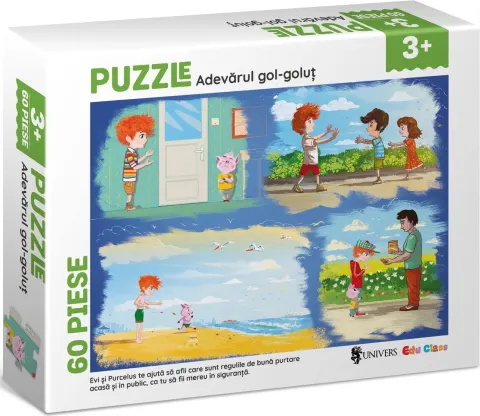 Coperta cărții Puzzle - Adevarul gol-golut