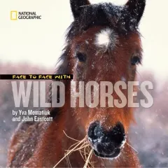Coperta cărții Face to face with wild horses
