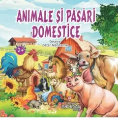 Coperta cărții Animale si pasari domestice. Varsta 2+, cartonata integral, colturi rotunjite
