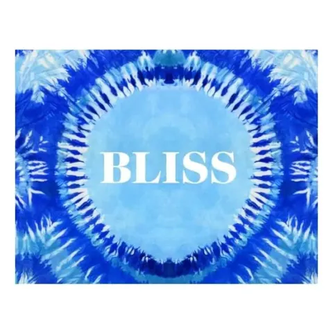 Coperta cărții Bliss
