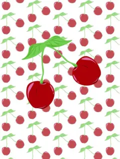 Coperta cărții Cherries Journal